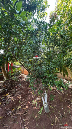 Imagem Imóvel com 2 Quartos à Venda, 995 m² em Corrupira - Jundiaí Imagem Imóvel com 2 Quartos à Venda, 995 m² em Corrupira - Jundiaí