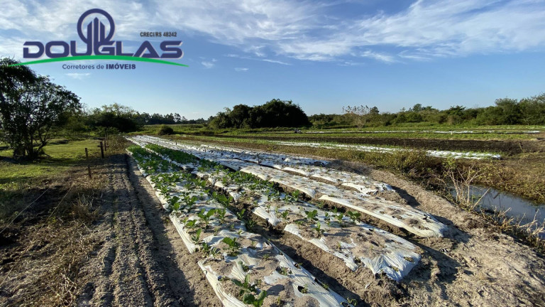 Imagem Chácara à Venda, em águas Claras - Viamão Imagem Chácara à Venda, em águas Claras - Viamão