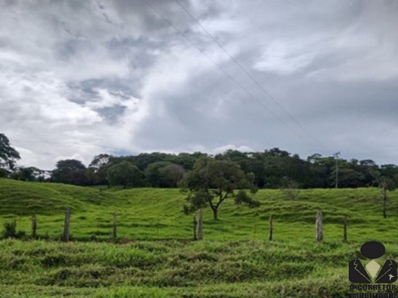 Imagem Imóvel à Venda, 21.900 m² em Fazendinhas Pedro Leopoldo Mg - Pedro Leopoldo Imagem Imóvel à Venda, 21.900 m² em Fazendinhas Pedro Leopoldo Mg - Pedro Leopoldo