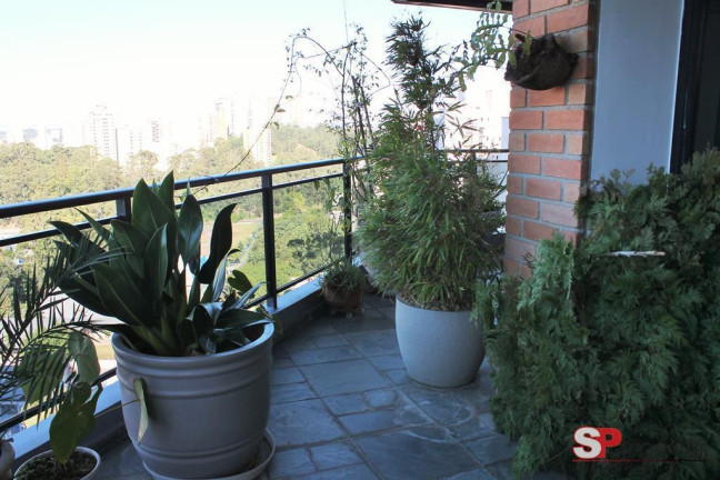 Imagem Apartamento com 3 Quartos à Venda, 200 m² em Jardim Parque Morumbi - São Paulo Imagem Apartamento com 3 Quartos à Venda, 200 m² em Jardim Parque Morumbi - São Paulo