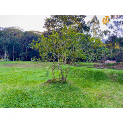 Imagem Imóvel com 3 Quartos à Venda, 5.000 m² em Moura - Canelinha Imagem Imóvel com 3 Quartos à Venda, 5.000 m² em Moura - Canelinha