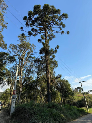 Imagem Terreno à Venda, 1.000 m² em Verava - Ibiúna
