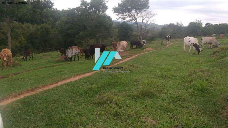 Imagem Terreno à Venda, 130.000 m² em Zona Rural - Carmópolis De Minas Imagem Terreno à Venda, 130.000 m² em Zona Rural - Carmópolis De Minas
