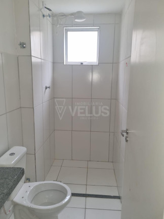 Imagem Apartamento com 2 Quartos à Venda, 60 m² em Vila Hungria - Itapetininga Imagem Apartamento com 2 Quartos à Venda, 60 m² em Vila Hungria - Itapetininga