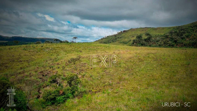 Terreno à Venda, 20.000 m² em Santo Antônio - Urubici