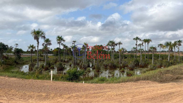 Imagem Terreno à Venda, 200 m² em Jardim Felicidade - Macapá Imagem Terreno à Venda, 200 m² em Jardim Felicidade - Macapá