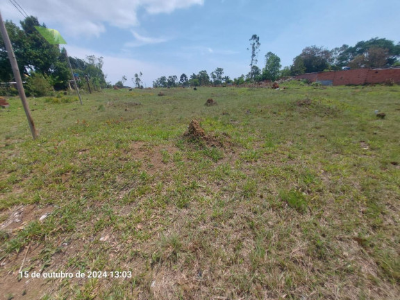 Terreno à Venda, 250 m² em Conjunto Residencial Santo ângelo - Mogi Das Cruzes