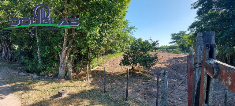 Imagem Chácara à Venda, em Viamão Imagem Chácara à Venda, em Viamão