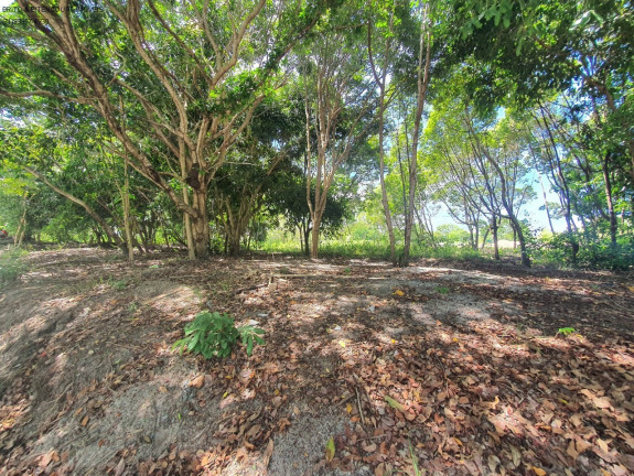 Imagem Terreno à Venda, 1.000 m² em Busca Vida - Camaçari Imagem Terreno à Venda, 1.000 m² em Busca Vida - Camaçari
