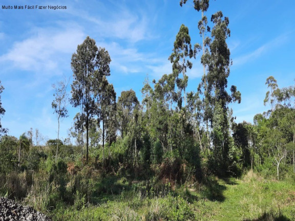 Imagem Terreno à Venda, 1 m² em Br 116 - Nova Petrópolis Imagem Terreno à Venda, 1 m² em Br 116 - Nova Petrópolis