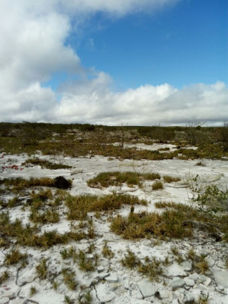 Imagem Fazenda à Venda, 200.000 m² em Zona Rural - Mucugê