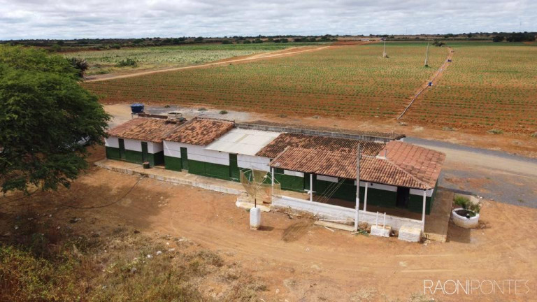 Imagem Fazenda à Venda, 600.000 m² em Zona Rural - Irecê Imagem Fazenda à Venda, 600.000 m² em Zona Rural - Irecê
