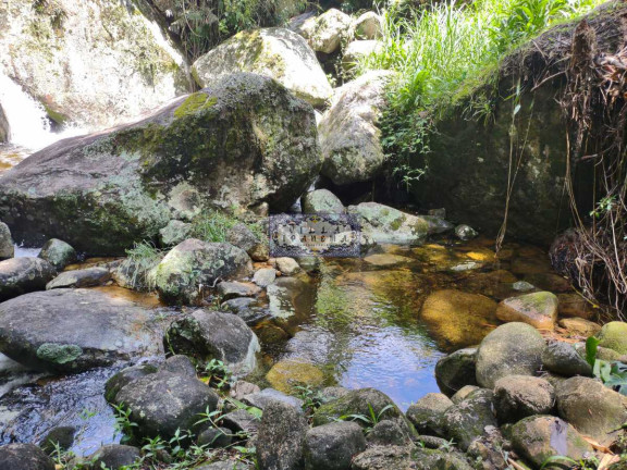 Imagem Imóvel com 3 Quartos à Venda, 40.000 m² em Granja Guarani - Teresópolis