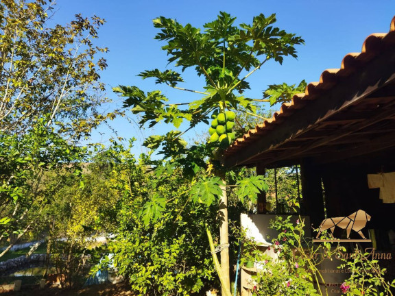 Imagem Chácara com 2 Quartos à Venda, 750 m² em Taubaté Imagem Chácara com 2 Quartos à Venda, 750 m² em Taubaté
