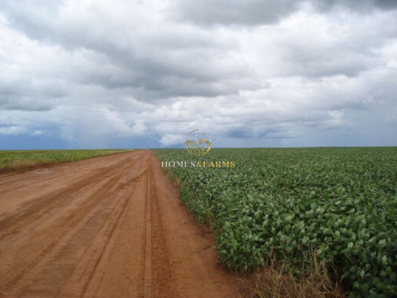 Imagem Imóvel com 3 Quartos à Venda, 12.454 m² em Centro - Primavera Do Leste Imagem Imóvel com 3 Quartos à Venda, 12.454 m² em Centro - Primavera Do Leste