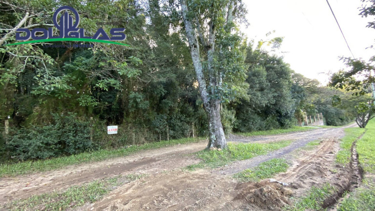 Imagem Terreno à Venda, 1.600 m² em Viamão Imagem Terreno à Venda, 1.600 m² em Viamão