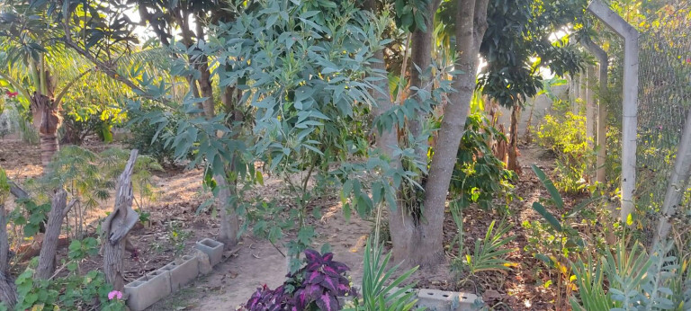 Imagem Chácara com 2 Quartos à Venda, 1.080 m² em Zona Rural - Araçoiaba Da Serra