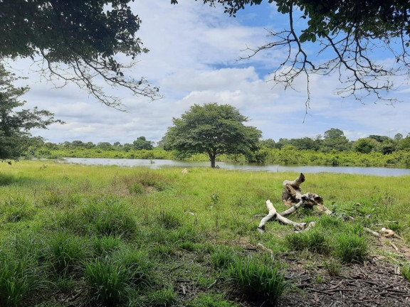 Imagem Fazenda à Venda, 532 m² em Rural - Juarina Imagem Fazenda à Venda, 532 m² em Rural - Juarina