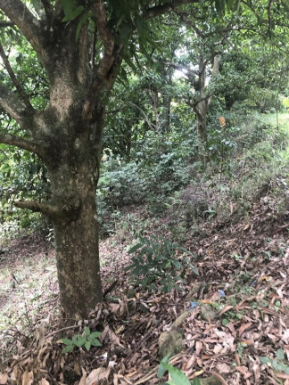 Imagem Terreno à Venda, 1.200 m² em Campo Grande - Rio De Janeiro Imagem Terreno à Venda, 1.200 m² em Campo Grande - Rio De Janeiro