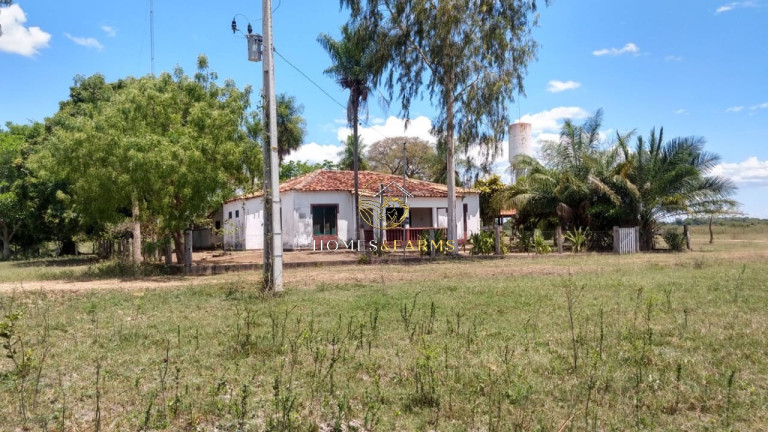 Imagem Imóvel com 3 Quartos à Venda, 88.000 m² em Zona Rural - Poconé Imagem Imóvel com 3 Quartos à Venda, 88.000 m² em Zona Rural - Poconé