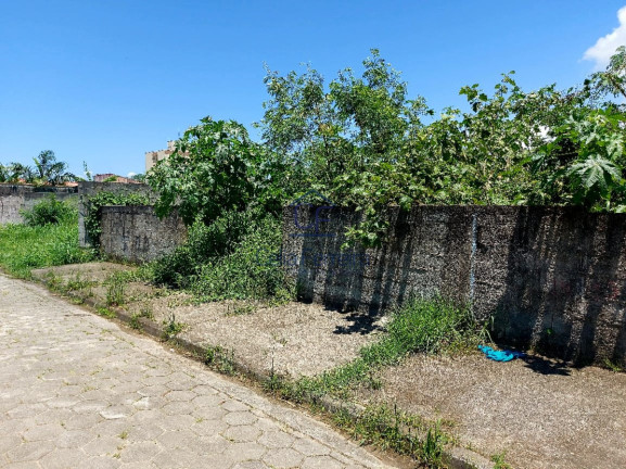 Imagem Terreno à Venda, 300 m² em Jardim Casa Branca - Caraguatatuba Imagem Terreno à Venda, 300 m² em Jardim Casa Branca - Caraguatatuba