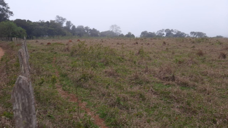 Imagem Fazenda à Venda, 20 m² em Campo Grande - Pilar Do Sul Imagem Fazenda à Venda, 20 m² em Campo Grande - Pilar Do Sul