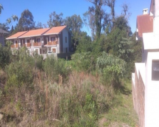 Imagem Terreno à Venda, 390 m² em Recanto Dos Platanos - Nova Petrópolis