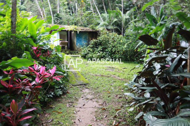 Imagem Casa de Condomínio com 3 Quartos à Venda, 2.413 m² em Martim De Sá - Caraguatatuba Imagem Casa de Condomínio com 3 Quartos à Venda, 2.413 m² em Martim De Sá - Caraguatatuba