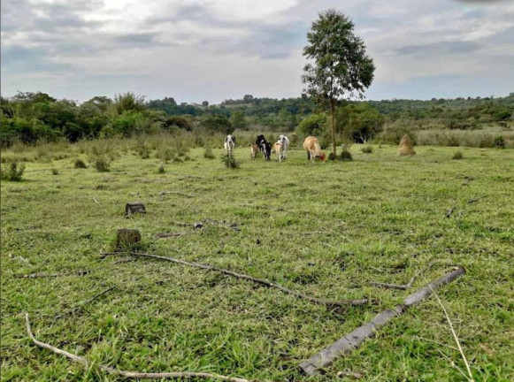 Imagem Terreno à Venda, 580.800 m² em Centro - Capela Do Alto Imagem Terreno à Venda, 580.800 m² em Centro - Capela Do Alto