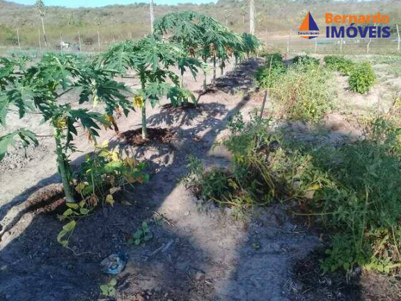 Imagem Fazenda à Venda, 1.485 m² em Passagem Do Franco - Cascavel Imagem Fazenda à Venda, 1.485 m² em Passagem Do Franco - Cascavel
