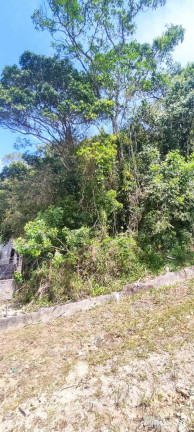 Terreno à Venda, 423 m² em Morrinhos - Bombinhas