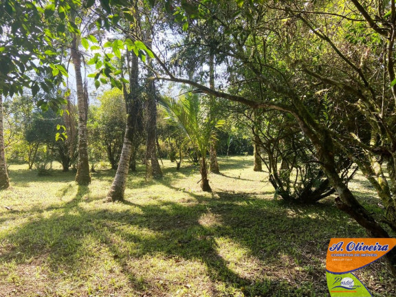 Imagem Chácara com 1 Quarto à Venda, 100 m² em Ubatumirim - Ubatuba