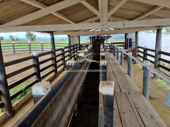 Imagem Fazenda à Venda, 6.098 m² em Uberlândia Imagem Fazenda à Venda, 6.098 m² em Uberlândia