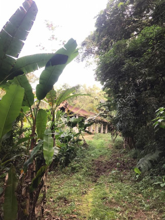 Imagem Terreno à Venda, 32 m² em Horto Florestal - Ubatuba