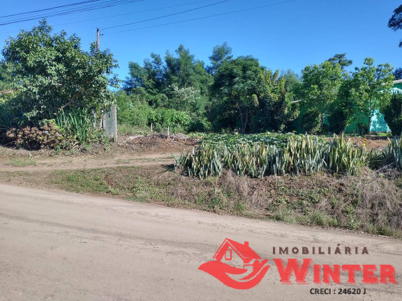 Imagem Terreno à Venda, 450 m² em Morro Grande - Linha Nova Imagem Terreno à Venda, 450 m² em Morro Grande - Linha Nova