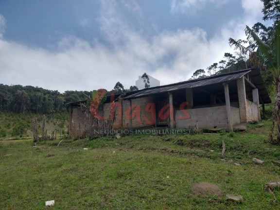 Imagem Chácara com 6 Quartos à Venda, 435 m² em Pouso Alto - Natividade Da Serra Imagem Chácara com 6 Quartos à Venda, 435 m² em Pouso Alto - Natividade Da Serra
