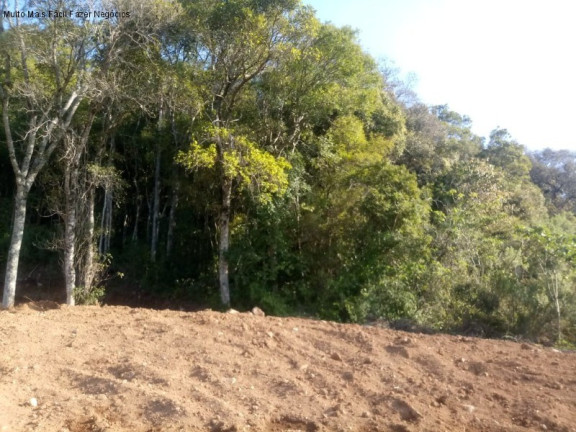 Imagem Terreno à Venda, 2.203 m² em Pousada Da Neve - Nova Petrópolis Imagem Terreno à Venda, 2.203 m² em Pousada Da Neve - Nova Petrópolis