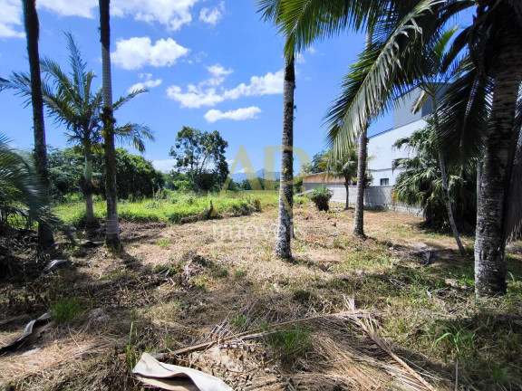 Imagem Terreno à Venda, 460 m² em Fundos - Biguaçu Imagem Terreno à Venda, 460 m² em Fundos - Biguaçu