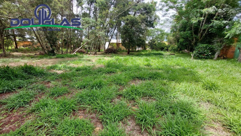 Imagem Casa com 3 Quartos à Venda, 20.000 m² em Viamão Imagem Casa com 3 Quartos à Venda, 20.000 m² em Viamão