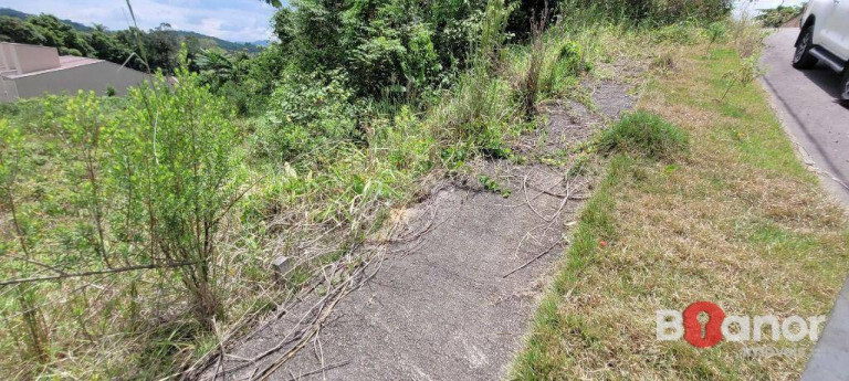 Imagem Terreno à Venda, 570 m² em Itoupava Central - Blumenau