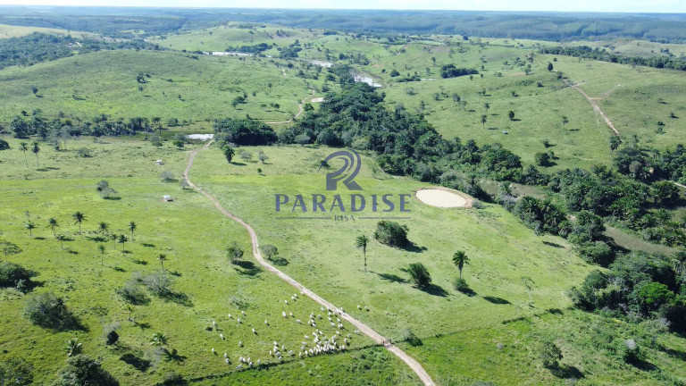 Fazenda à Venda, 9.750.000 m² em Zona Rural - Itanagra