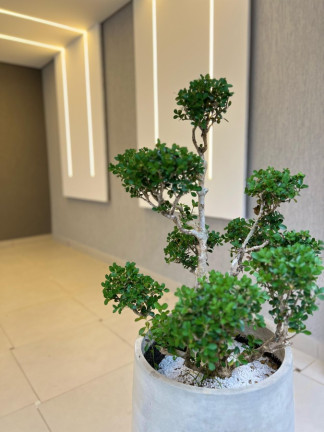 Imagem Casa com 2 Quartos à Venda, 60 m² em Caiçara - Praia Grande Imagem Casa com 2 Quartos à Venda, 60 m² em Caiçara - Praia Grande