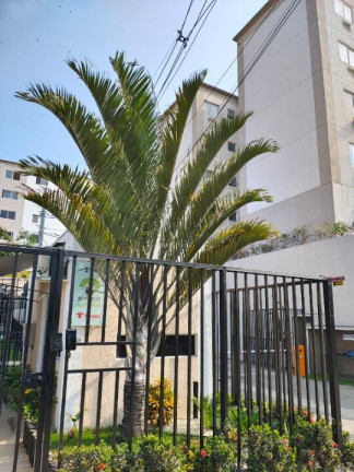 Apartamento com 2 Quartos à Venda, 48 m² em Monjolos - São Gonçalo