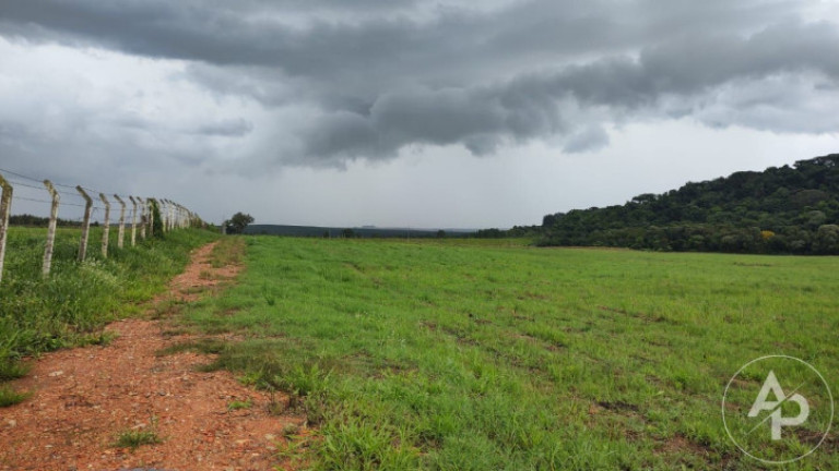 Terreno à Venda, 81.332 m² em Colônia Dona Luíza - Ponta Grossa