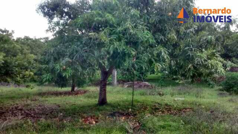 Imagem Chácara à Venda, 5 m² em Caponga - Cascavel Imagem Chácara à Venda, 5 m² em Caponga - Cascavel