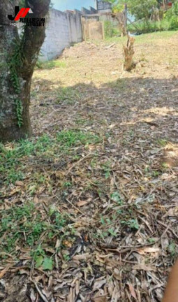 Imagem Terreno à Venda, 250 m² em Pingo De Ouro - Guaratinguetá Imagem Terreno à Venda, 250 m² em Pingo De Ouro - Guaratinguetá