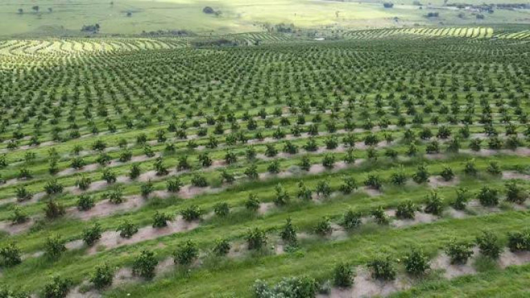 Imagem Fazenda à Venda, 121 m² em Rio Pardo - águas De Santa Bárbara