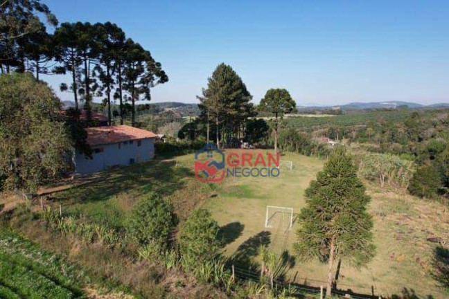 Imagem Chácara com 5 Quartos à Venda, 5.600 m² em Centro - Mandirituba