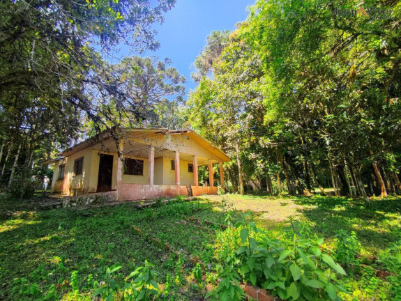 Imagem Chácara à Venda, 6.000 m² em Loteamento Chácara Chantecler - Piraquara Imagem Chácara à Venda, 6.000 m² em Loteamento Chácara Chantecler - Piraquara