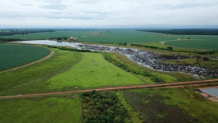 Imagem Fazenda à Venda, 3.000 m² em Zona Rural - Jussara Imagem Fazenda à Venda, 3.000 m² em Zona Rural - Jussara